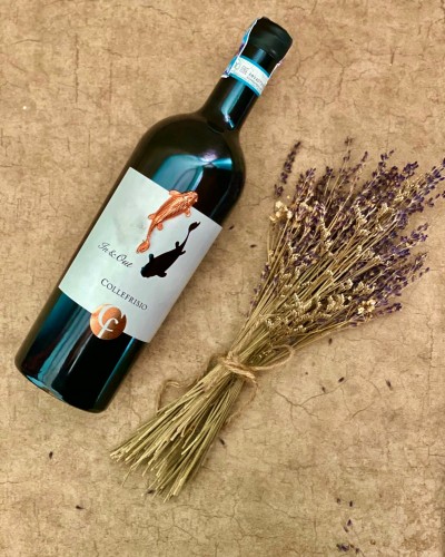 COLLEFRISIO IN & OUT 14% - 2014