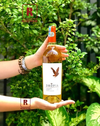 HỨNG KHỞI MÙA HÈ!