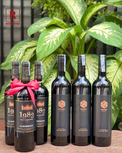 COMBO ĐẶC BIỆT 1