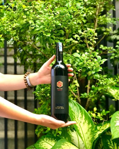 COMBO ĐẶC BIỆT 1