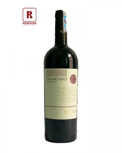 PIGNATARO PRIMITIVO TAGARO 2019 - 13,5%