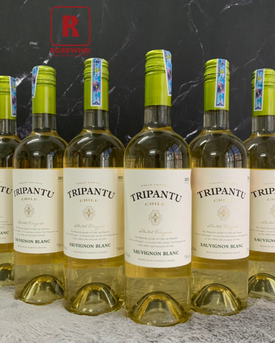 COMBO 6 TRIPANTU SAUVIGNON BLANC