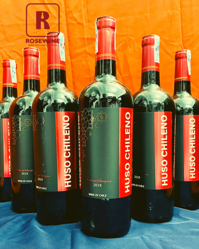 COMBO 6 HUSO CHILENO 