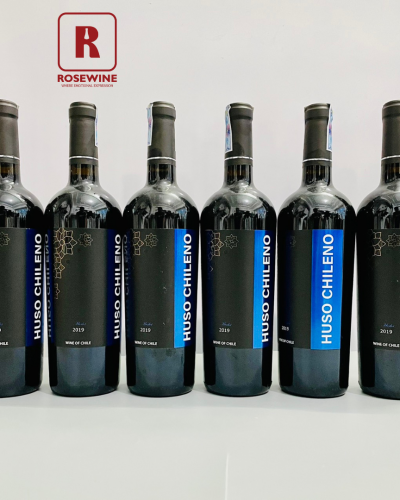 COMBO 6 HUSO CHILENO MERLOT